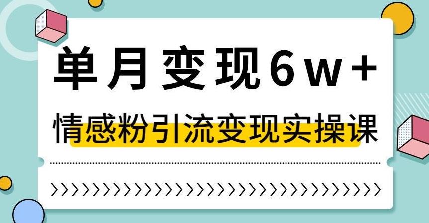 单月变现6W+，抖音情感粉引流变现实操课，小白可做，轻松上手，独家赛道【揭秘】-E网资源