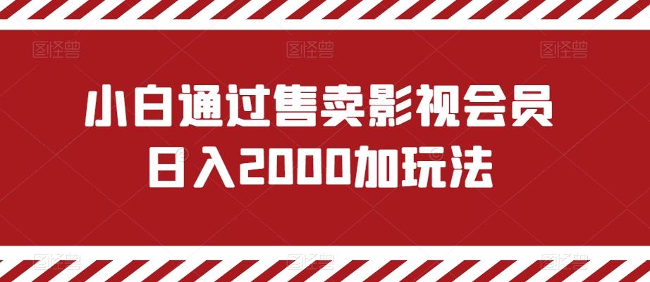 小白通过售卖影视会员日入2000加玩法-E网资源