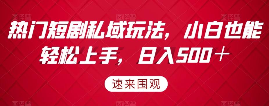 热门短剧私域玩法，小白也能轻松上手，日入500＋-E网资源