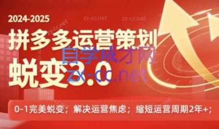 大力老师·2024拼多多运营策略蜕变3.0-E网资源
