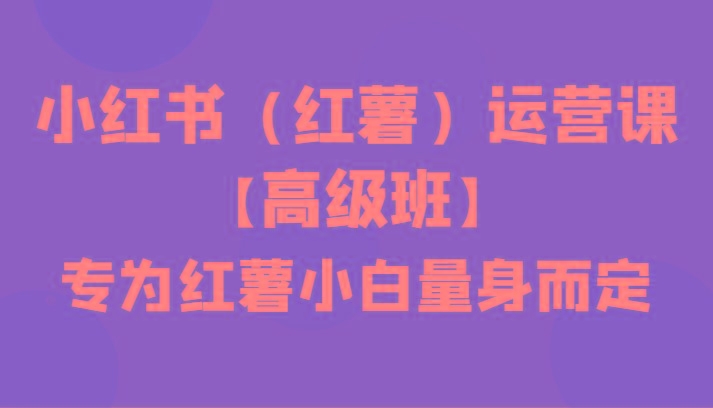 小红书(红薯)运营课【高级班】，专为红薯小白量身而定(42节课)-E网资源