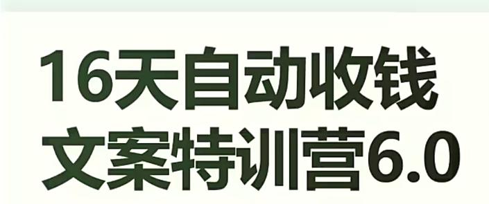 16天自动收钱文案特训营6.0，学会儿每天自动咔咔收钱-E网资源