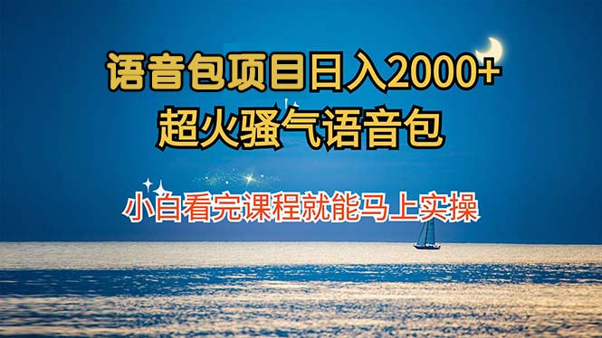 语音包项目 日入2000+ 超火骚气语音包小白看完课程就能马上实操-E网资源
