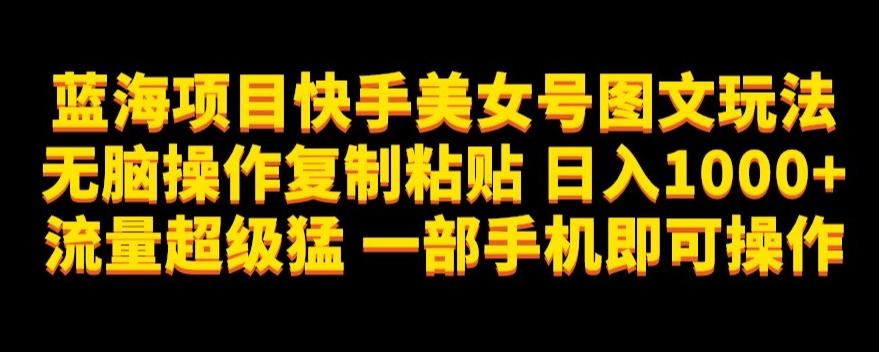 蓝海项目快手美女号图文玩法，无脑操作复制粘贴，日入1000+流量超级猛一部手机即可操作【揭秘】-E网资源