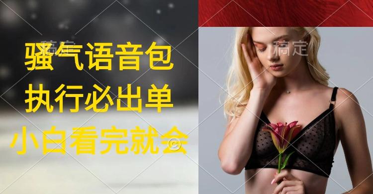 (9589期)执行就出单，日入2000+，超火骚气语音包，小白看完课程就能马上实操-E网资源