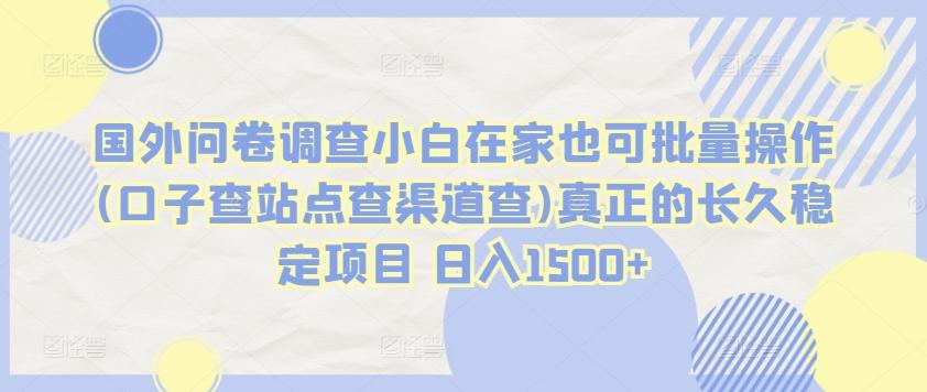 国外问卷调查小白在家也可批量操作(口子查站点查渠道查)真正的长久稳定项目 日入1500+【揭秘】-E网资源