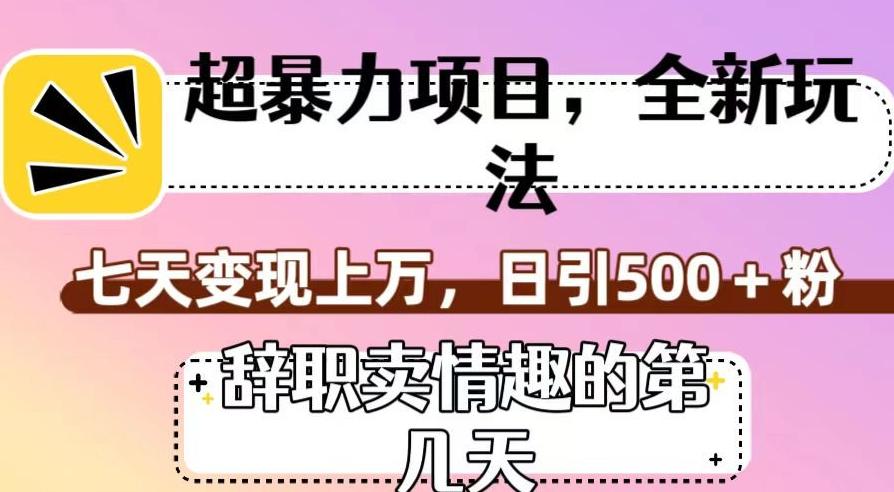 超暴利项目，全新玩法（辞职卖情趣的第几天），七天变现上万，日引500+粉【揭秘】-E网资源