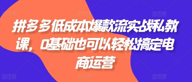 拼多多低成本爆款流实战私教课，0基础也可以轻松搞定电商运营-E网资源