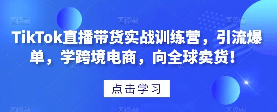 TikTok直播带货实战训练营，引流爆单，学跨境电商，向全球卖货！-E网资源