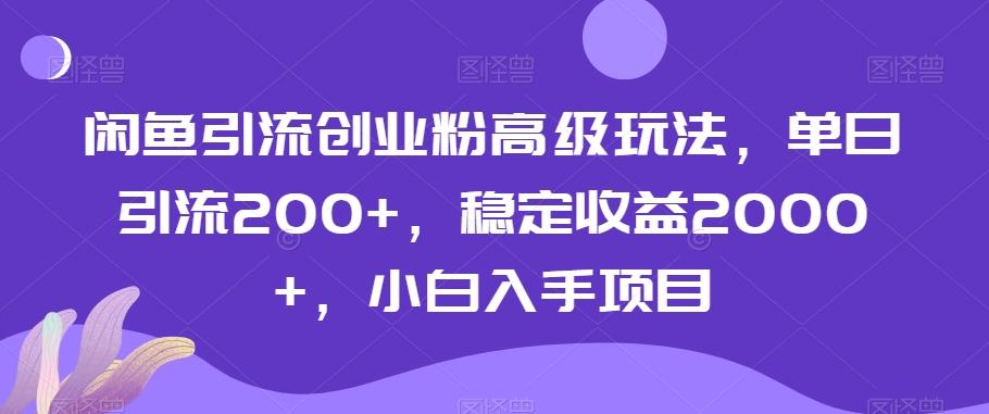 闲鱼引流创业粉高级玩法，单日引流200+，稳定收益2000+，小白入手项目-E网资源