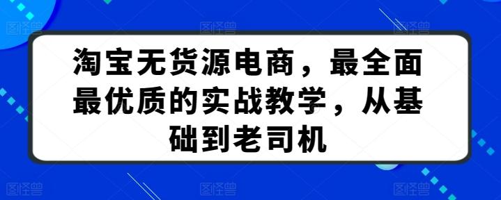 淘宝无货源电商，最全面最优质的实战教学，从基础到老司机-E网资源