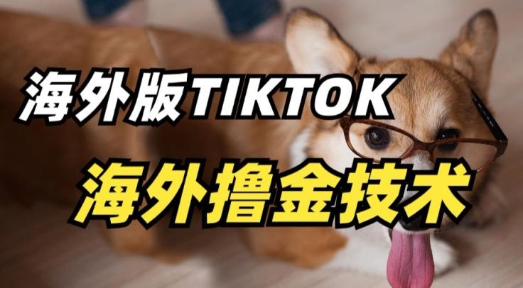 抖音海外版tiktok撸金技术，这个风口行业，赚钱真的不难【揭秘】-E网资源