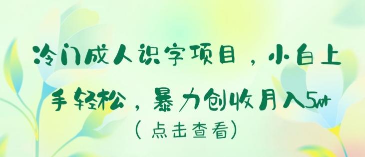 冷门成人识字项目，小白上手轻松，暴力创收月入5w+【揭秘】-E网资源