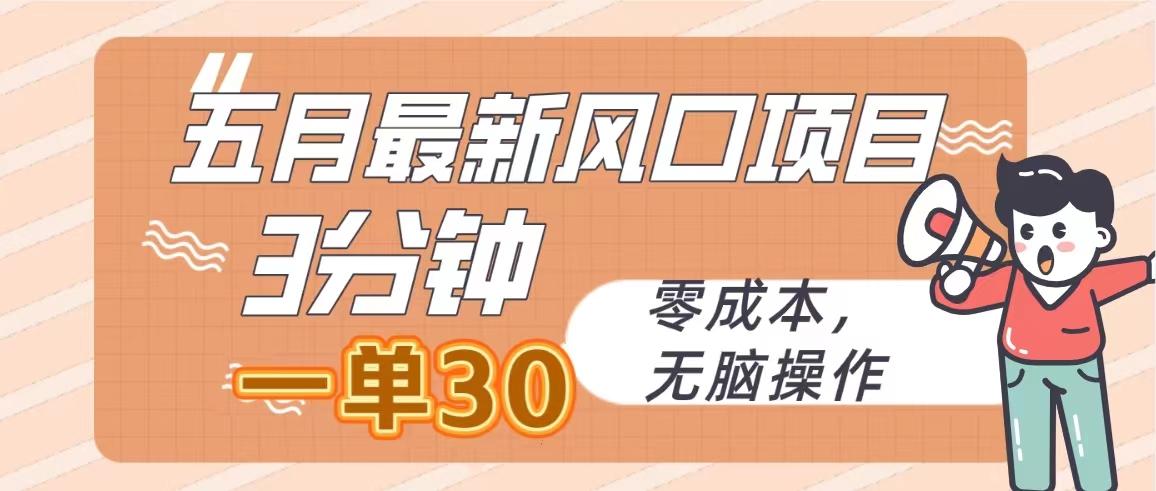 五月最新风口项目，3分钟一单30，零成本，无脑操作-E网资源