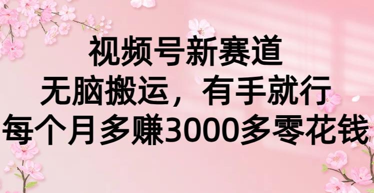 (9278期)视频号新赛道，无脑搬运，有手就行，每个月多赚3000多零花钱-E网资源