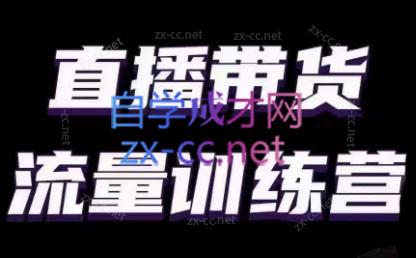婉婉·直播带货课程系列合集(更新8月)-E网资源