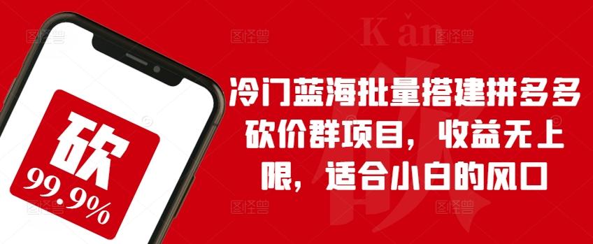 冷门蓝海批量搭建拼多多砍价群项目，收益无上限，适合小白的风口【揭秘】-E网资源