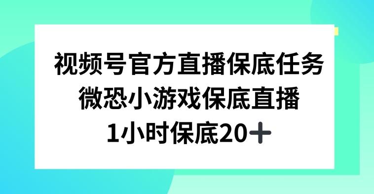 视频号直播任务，微恐小游戏，1小时20+【揭秘】-E网资源