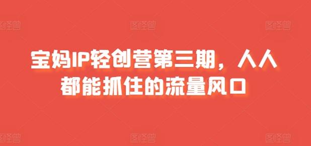 宝妈IP轻创营第三期，人人都能抓住的流量风口-E网资源
