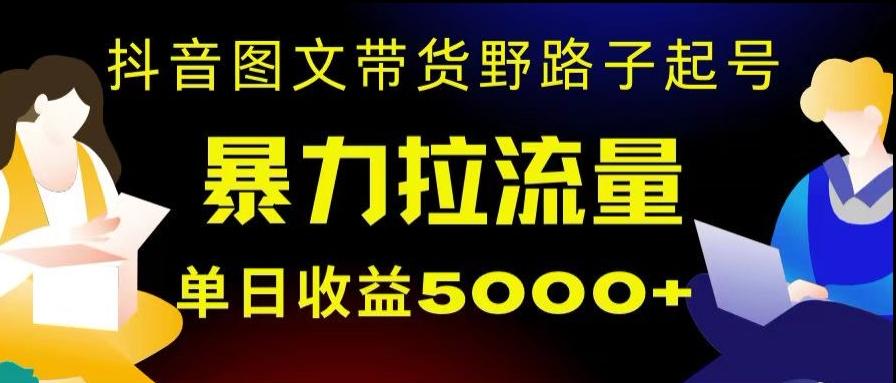抖音图文带货暴力起号，单日收益5000+，野路子玩法，简单易上手，一部手机即可【揭秘】-E网资源