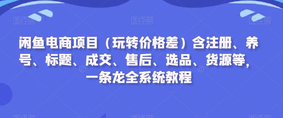 闲鱼电商项目(玩转价格差)含注册、养号、标题、成交、售后、选品、货源等，一条龙全系统教程-E网资源
