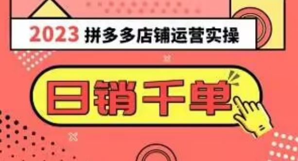 2023拼多多运营实操，每天30分钟日销1000＋，爆款选品技巧大全（10节课）-E网资源