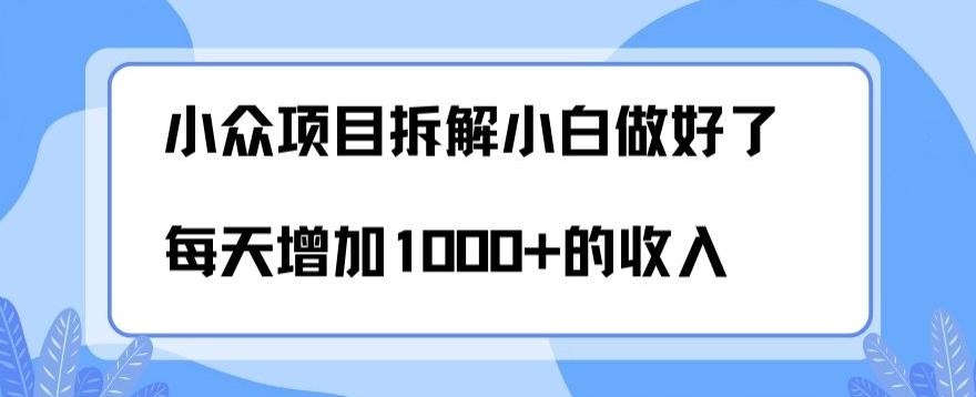 小众项目拆解，小白做好了每天可增加1000多的收入-E网资源