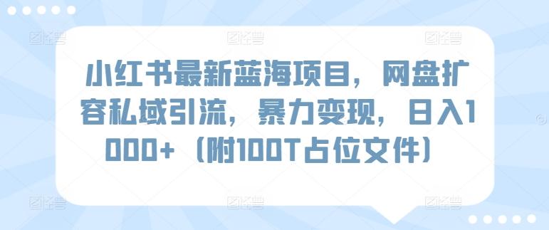 小红书最新蓝海项目，网盘扩容私域引流，暴力变现，日入1000+(附100T占位文件)【揭秘】-E网资源