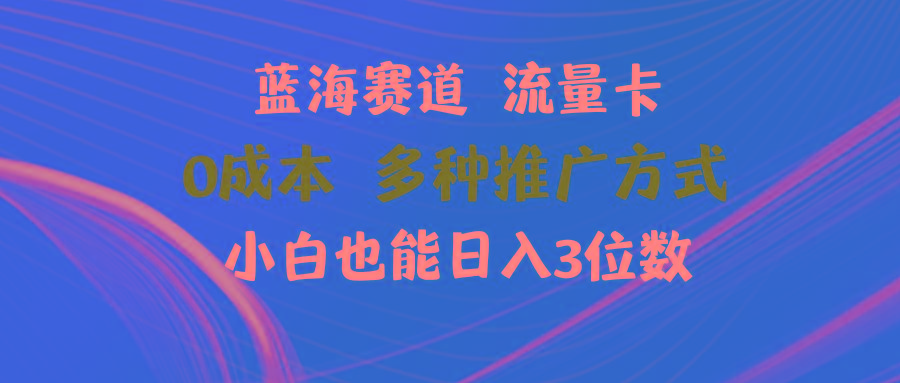 蓝海赛道 流量卡 0成本 小白也能日入三位数-E网资源