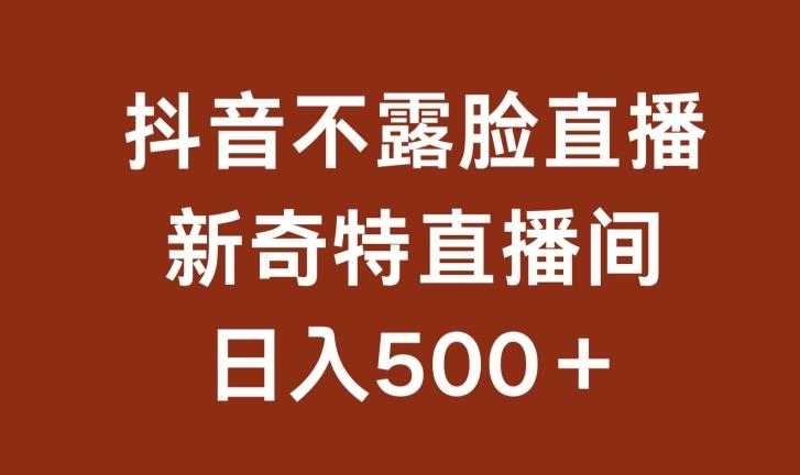 不露脸挂机直播，新奇特直播间，日入500+【揭秘】-E网资源