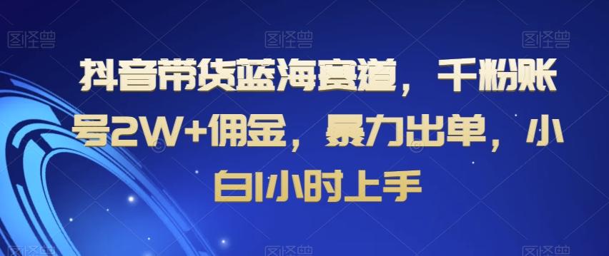 抖音带货蓝海赛道，千粉账号2W+佣金，暴力出单，小白1小时上手【揭秘】-E网资源