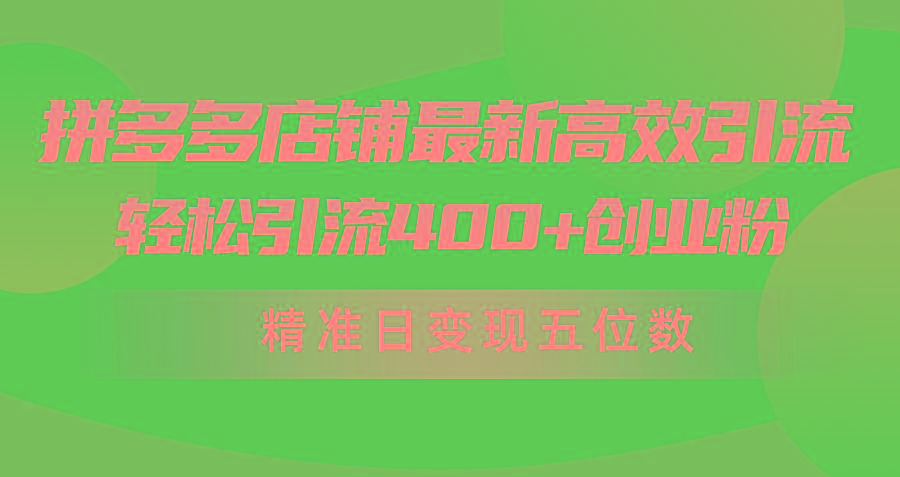 (10041期)拼多多店铺最新高效引流术，轻松引流400+创业粉，精准日变现五位数！-E网资源