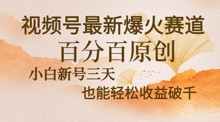 视频号最新爆火赛道，中老年粉深信不疑，百分百原创，新号三天收益轻松…-E网资源