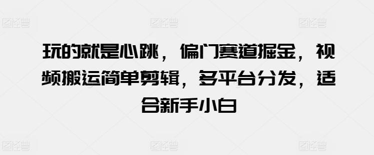 玩的就是心跳，偏门赛道掘金，视频搬运简单剪辑，多平台分发，适合新手小白【揭秘】-E网资源