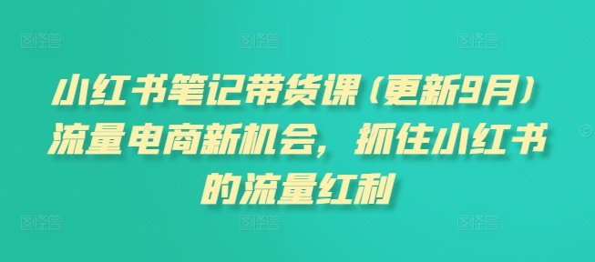 小红书笔记带货课(更新9月)流量电商新机会，抓住小红书的流量红利-E网资源