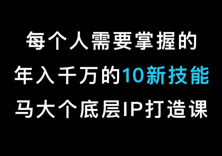 马大个的IP底层逻辑课，​每个人需要掌握的年入千万的10新技能，约会底层IP打造方法！-E网资源