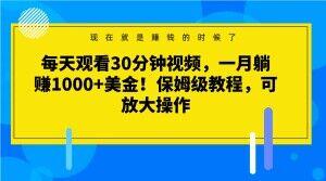 每天观看30分钟视频，一月躺赚1000+美金！保姆级教程，可放大操作【揭秘】-E网资源
