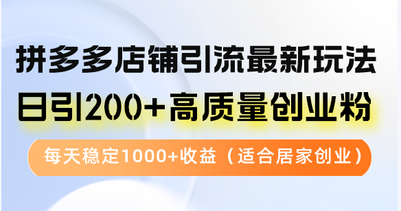 拼多多店铺引流最新玩法，日引200+高质量创业粉，每天稳定1000+收益(...-E网资源