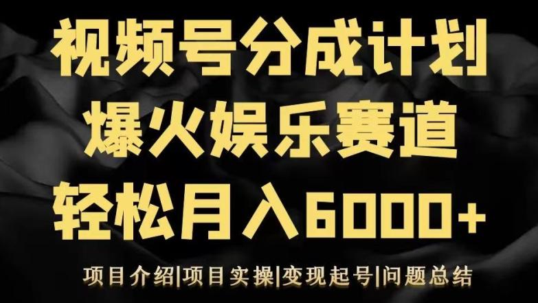 视频号创作分成计划之娱乐赛道轻松日入500+-E网资源
