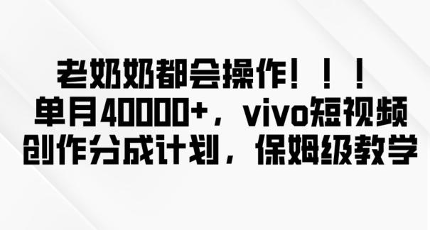 老奶奶都会操作，新平台无脑操作，单月40000+，vivo短视频创作分成计划【揭秘】-E网资源