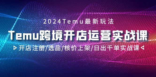 2024Temu跨境开店运营实战课，开店注册/选品/核价上架/日出千单实战课-E网资源