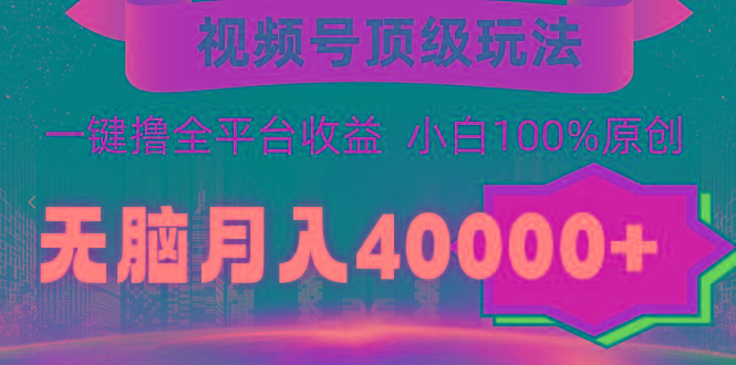 (9281期)视频号顶级玩法，无脑月入40000+，一键撸全平台收益，纯小白也能100%原创-E网资源