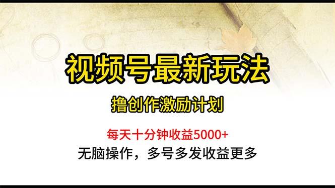 视频号最新玩法，每日一小时月入5000+-E网资源
