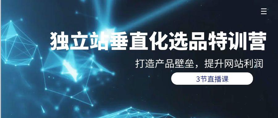 (9925期)独立站-垂直化选品训练营，打造产品壁垒，提升网站利润(3节直播课)-E网资源