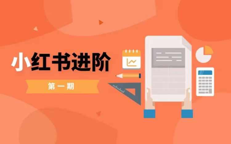 小红书进阶篇，零基础小白实战课，普通人变现的课程-E网资源