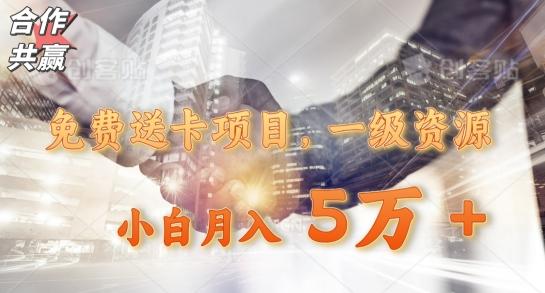 免费送卡项目，一级资源，小白月入5万+-E网资源