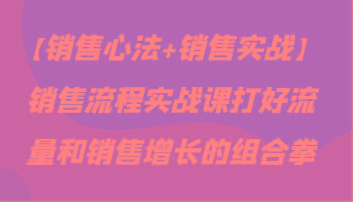 【销售心法+销售实战】销售流程实战课打好流量和销售增长的组合拳-E网资源