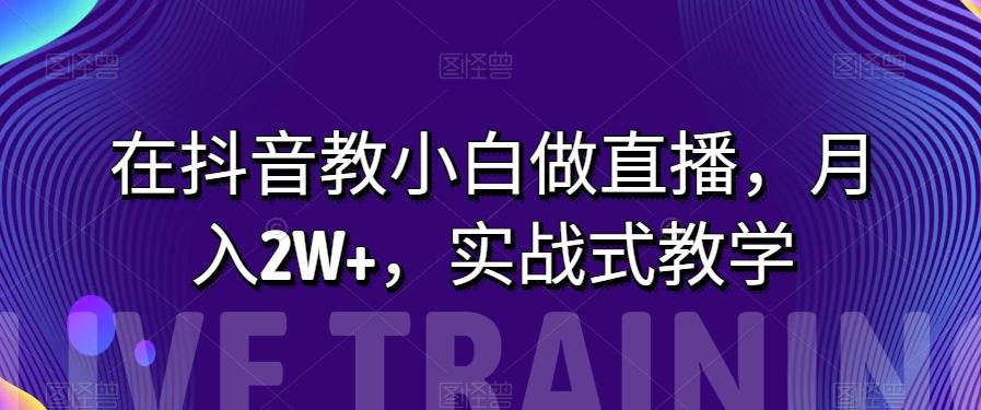 在抖音教小白做直播，月入2W+，实战式教学【揭秘】-E网资源