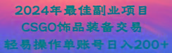 2024年最佳副业项目 CSGO饰品装备交易 轻易操作单账号日入200+-E网资源