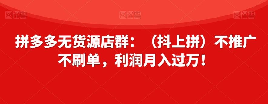 拼多多无货源店群：（抖上拼）不推广不刷单，利润月入过万！【揭秘】-E网资源